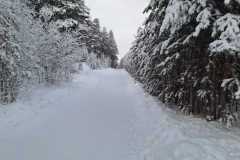 IMG-20241218-WA0014