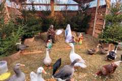 IMG-20250106-WA0029